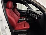 Alfa Romeo Stelvio VELOCE 154kW Q4 TAŽNÉ MATRIX - náhled 38