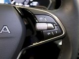 Škoda Octavia (2025) TOP SELECTION 2.0TDI 110KW DSG - náhled 19