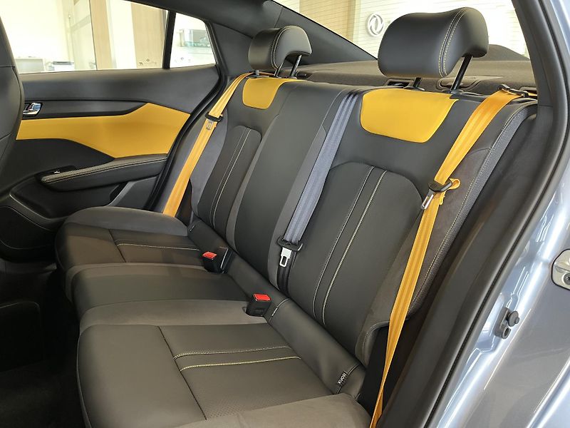 Dongfeng SHINE E3 1.5 140 kW - fotka 16 z 18