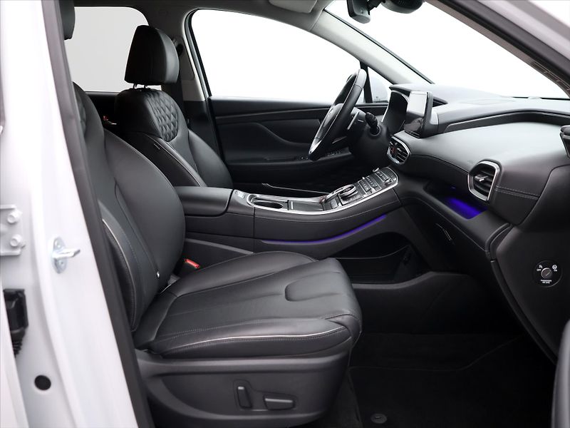 Hyundai Santa Fe 2,2 CRDi 142kW Style CZ DPH - fotka 12 z 36