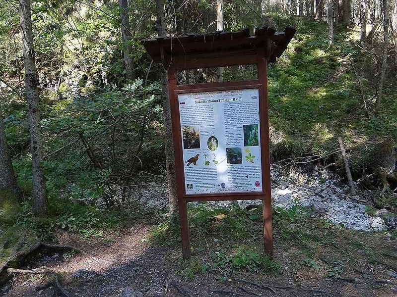 Závojový vodopád v Sokolí dolině ve Slovenském ráji..