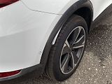 Cupra Formentor (2023) 1.5 TSI DSG - náhled 32