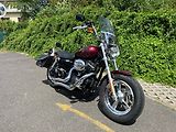 Harley-Davidson (2014) XL 1200 CP Sportster 1200 Cust - náhled 1