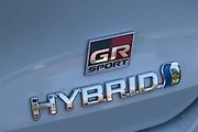 Jde vždy o hybrid