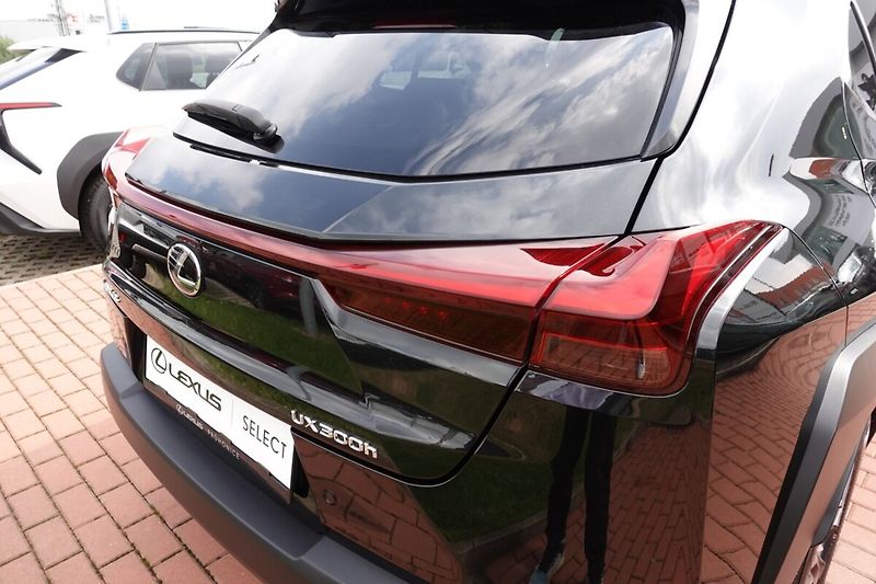 Lexus UX 300h UX300h 2,0 HEV Business Tech - fotka 33 z 34