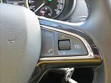 Škoda Octavia 1,2 TSI Ambition Plus DSG7 ČR - náhled 17