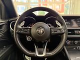 Alfa Romeo Stelvio (2021) 2.2 210 HP Veloce 8AT Q4 - náhled 14