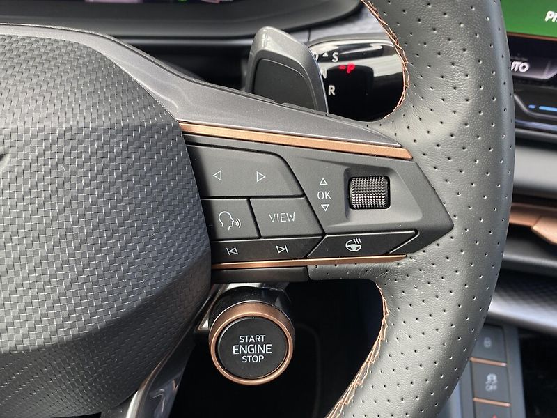 Cupra Terramar 2,0 TSI 150 kW 4WD DSG - fotka 14 z 26