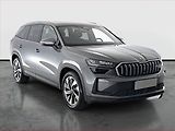 Škoda Kodiaq (2026) 2.0 TSI - náhled 1