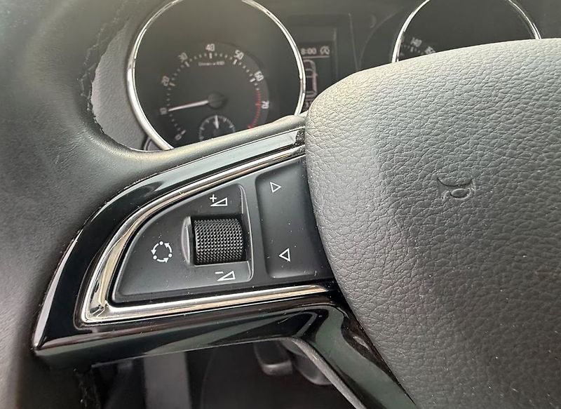 Škoda Yeti 1.4 TSI OUTDOOR 4x4 - fotka 18 z 24