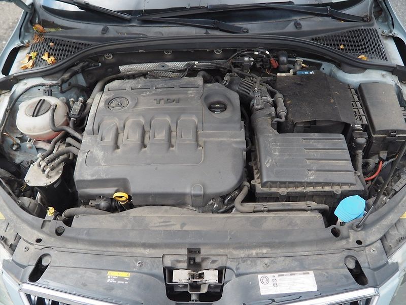 Škoda Octavia (2017) 1.6 TDI, Ambiente - fotka 33 z 33