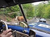 Majitelé automobilových veteránů absolvovali čtyřdenní závod Oldtimer Express. Zajímavé setkání je čekalo na trase.