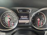 Mercedes-Benz GLS (2018) 350 4MATIC - náhled 13