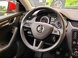 Škoda Octavia TDi Style CEBIA,CZ*SERV.KN     - náhled 29