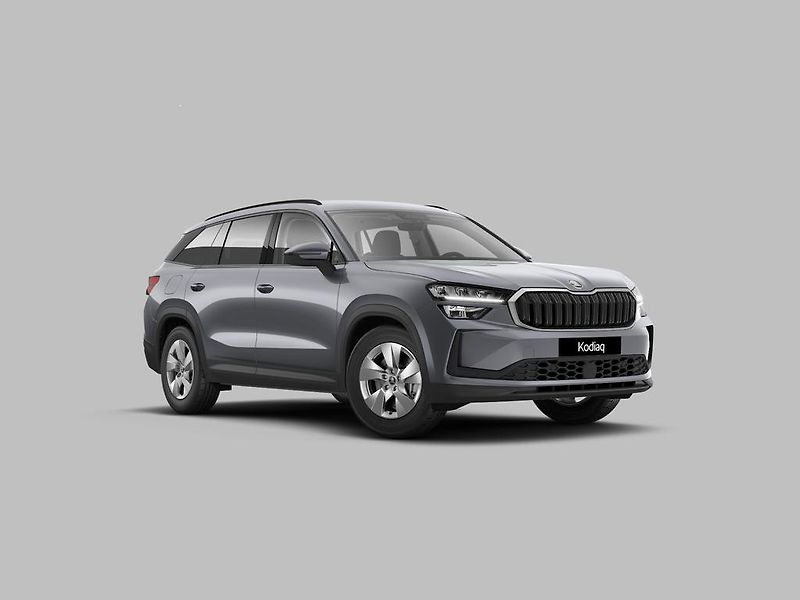 Škoda Kodiaq (2026) Selection 2,0 TDI 110 kW DSG - fotka 6 z 12