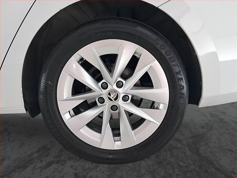 Škoda Octavia (2022) 2.0 TDI - fotka 15 z 20