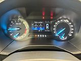 Ford Galaxy 2.0 EcoBlue, 140 kW, Cebia - náhled 11