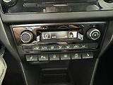 Škoda Rapid 1,0   TSI 81kW,CLEVER,SERVISKA - náhled 19