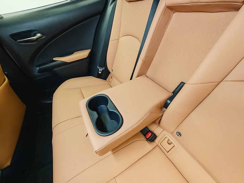 Lexus UX 300h F Sport Design 300H - fotka 20 z 33