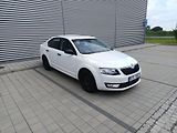 Škoda Octavia (2014) - náhled 17