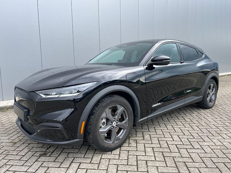 Ford Mustang Mach-E (2021) Mach-E - fotka 6 z 13