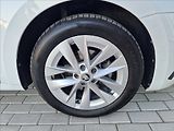 Škoda Octavia 2.0 TDI DSG Style,ČR,1.Maj - náhled 46