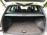 Škoda Kodiaq (2021) 2.0 TDI RS 176KW 4x4 - WEBASTO - náhled 9