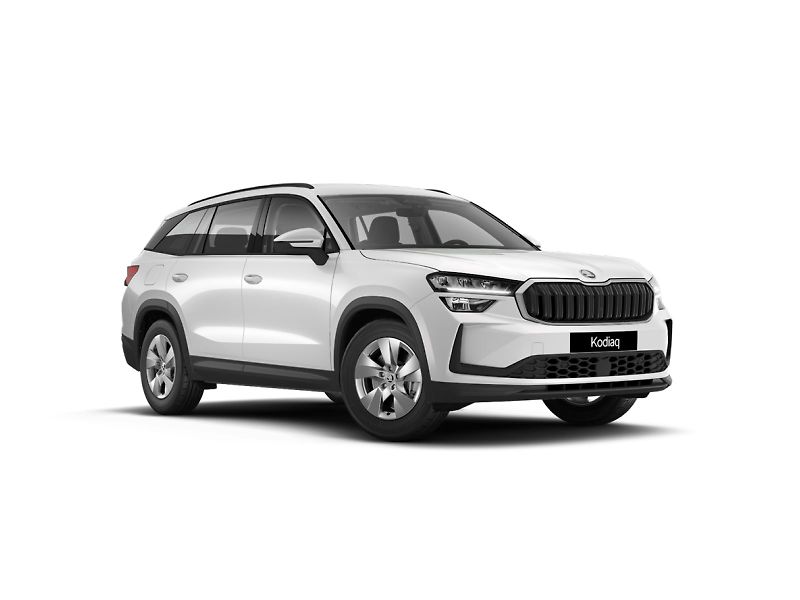 Škoda Kodiaq (2024) 2.0 TDI 4x4 DSG Exclusive Sele - fotka 1 z 4