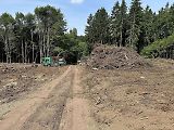 Na trase D11 Jaroměř - Trutnov skončilo kácení dřevin.