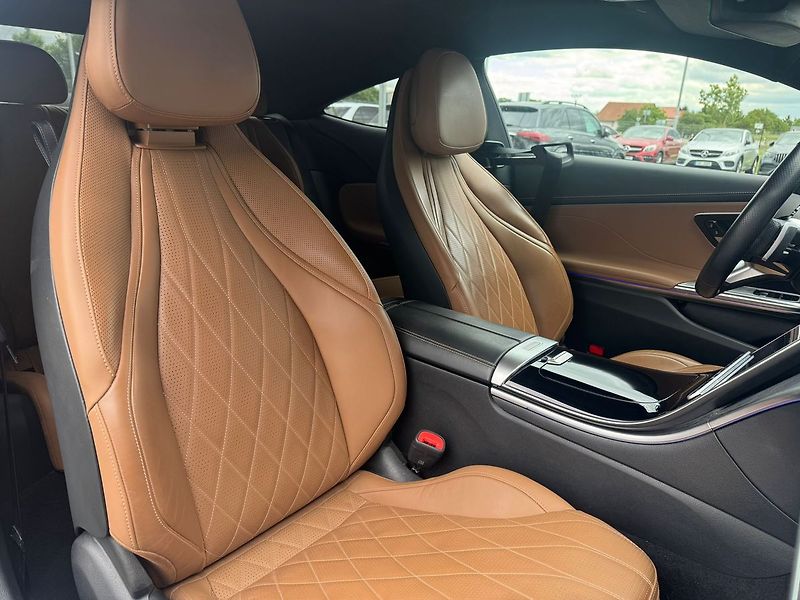 Mercedes-Benz Ostatní 450 4MATIC - fotka 18 z 19