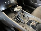 Dongfeng SHINE E3 1.5 140 kW - náhled 14