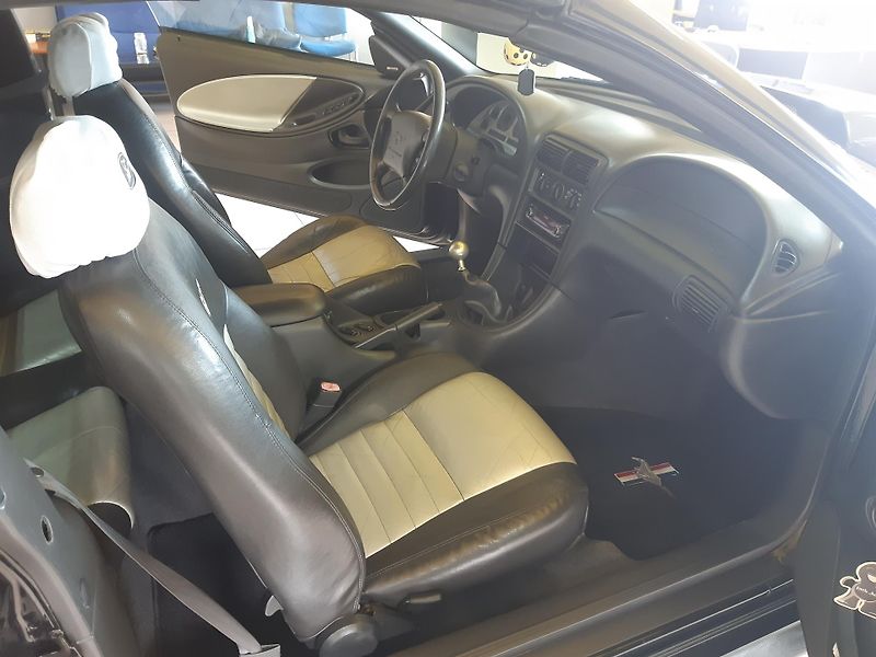 Ford Mustang 5.0 V6 CABRIO - fotka 10 z 19