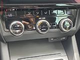 Škoda Octavia (2017) 1.6 TDi, Drive, DSG, navi - náhled 15