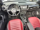 Volkswagen New Beetle 1.6 TDI/77kW Cabrio - náhled 18