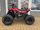 Linhai (2026) ATV 110 - náhled 1