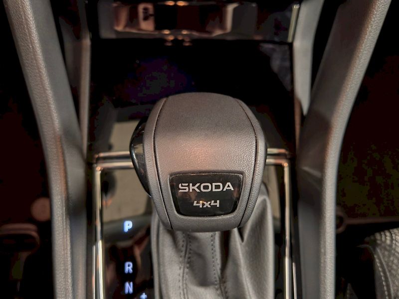 Škoda Karoq (2025) 2.0 TDI 110 kW DSG 4x4 Top Sel - fotka 18 z 31