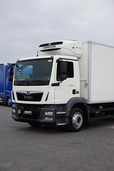 MAN TGM (2020) 18.290 / EURO 6 / CHŁODNIA + W - fotka 21 z 51