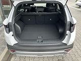 Hyundai Tucson 1,6T-GDI 110kW GO CZECH! FL - náhled 7