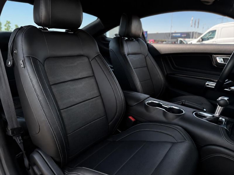 Ford Mustang 5,0 GT V8 330kW 55YearsEdition - fotka 36 z 36