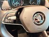 Škoda Fabia 1.0 TSi 70 Kw Ambition TourTop - náhled 12