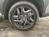 Subaru Forester FIELD SLEVA !!!!! - náhled 16