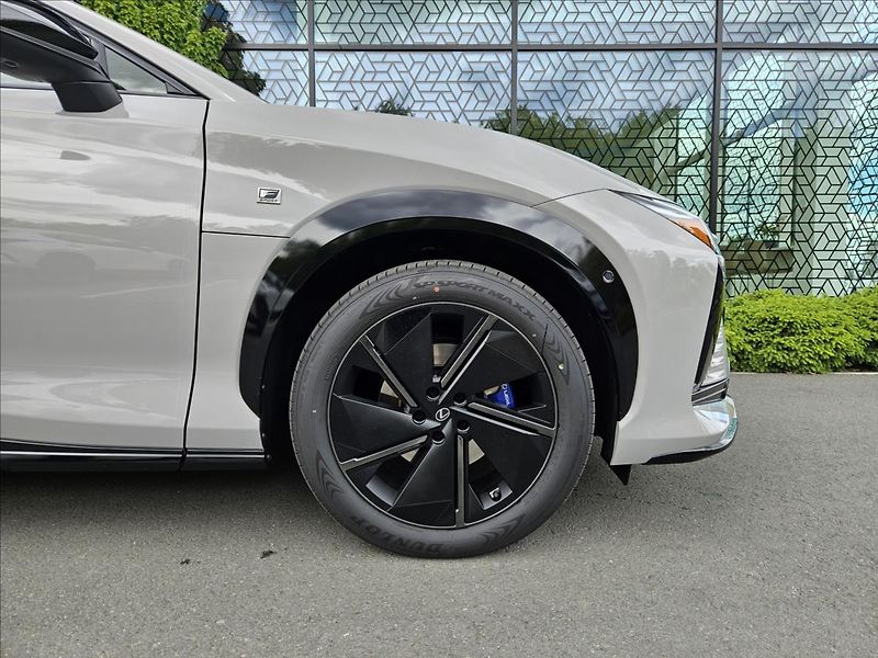 Lexus RZ550e 0,0 F SPORT Luxury - fotka 5 z 16