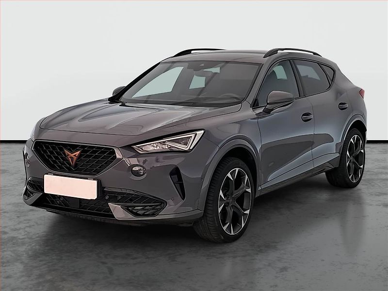 Cupra Formentor (2024) 2.0 TSI 4Drive - fotka 2 z 24