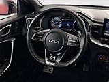 Kia Pro_Ceed (2024) GT 1.6 T-GDI - náhled 17