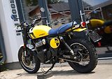 Royal Enfield (2026) Bear 650 WILD HONEY - náhled 6