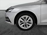 Škoda Octavia (2022) Style 2.0 TDI, Tempomat - náhled 14