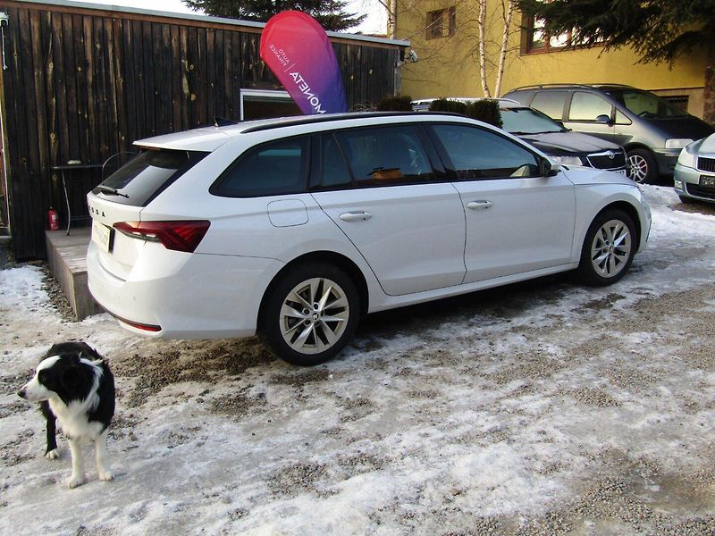 Škoda Octavia (2020) 2.0 TDI 110kW DSG ACC MATRIX - fotka 10 z 43
