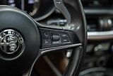 Alfa Romeo Stelvio Q4 2.2 JTD 154 kW - náhled 13