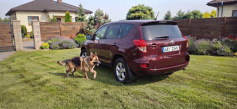 Toyota RAV4 4x4 Facelit servisní historie - fotka 19 z 45