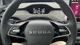 Škoda Enyaq (2025) RS 85 FL TČ MAXX - náhled 19